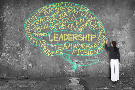 Create a Personal Leadership Development Plan